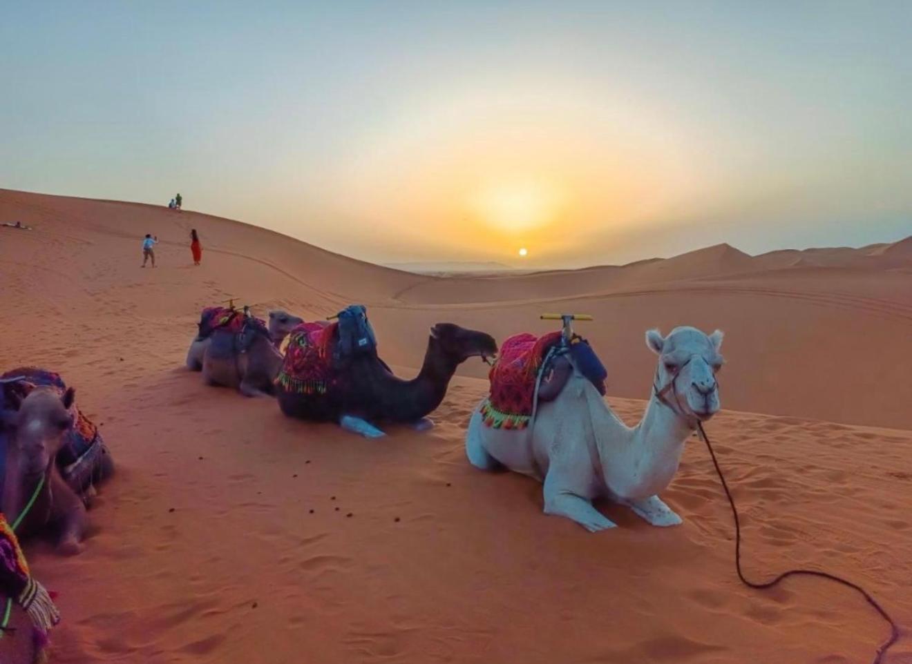 Merzouga Lovely Luxury Camp Zewnętrze zdjęcie